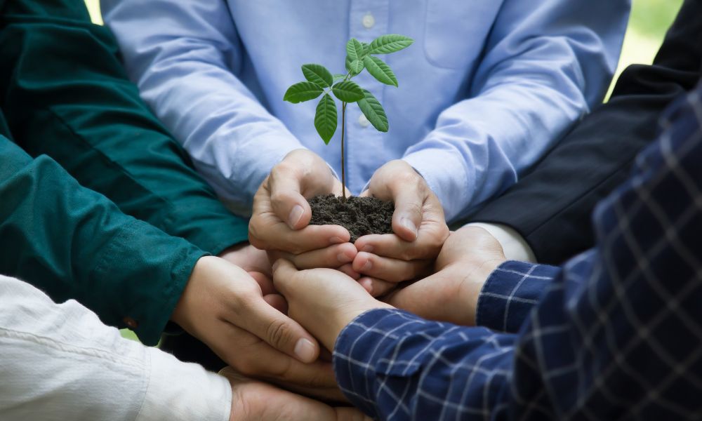 Employees planting a tree as part of their company’s environmental corporate social responsibility activities.